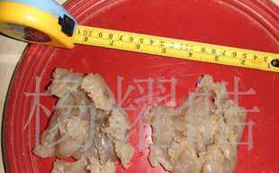 供應越南海蜇頭價格_供應越南海蜇頭廠家_世界工廠網產品信息庫