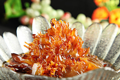 海蜇 海洋的晶瑩瑰寶