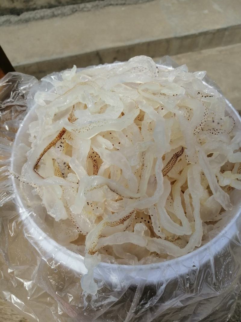 濱州沾化海蜇 海味珍品，品鮮嘗脆正當(dāng)時(shí)