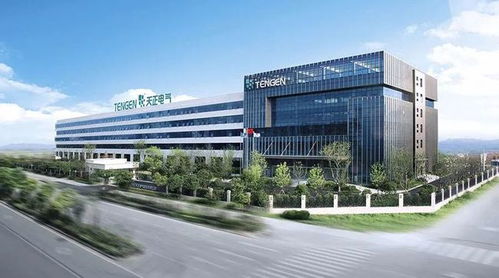 柳市電氣成功上市，“中國電器之都”三巨頭資本市場會師